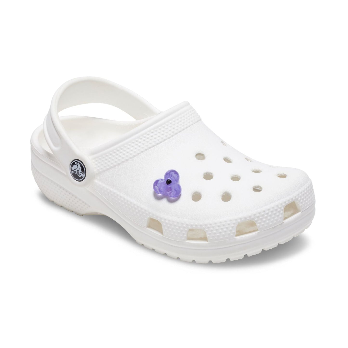 Expressive Floral Purple Unisex Multi Jibbitz
