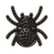 Jibbitz Elevated Spooky Spider