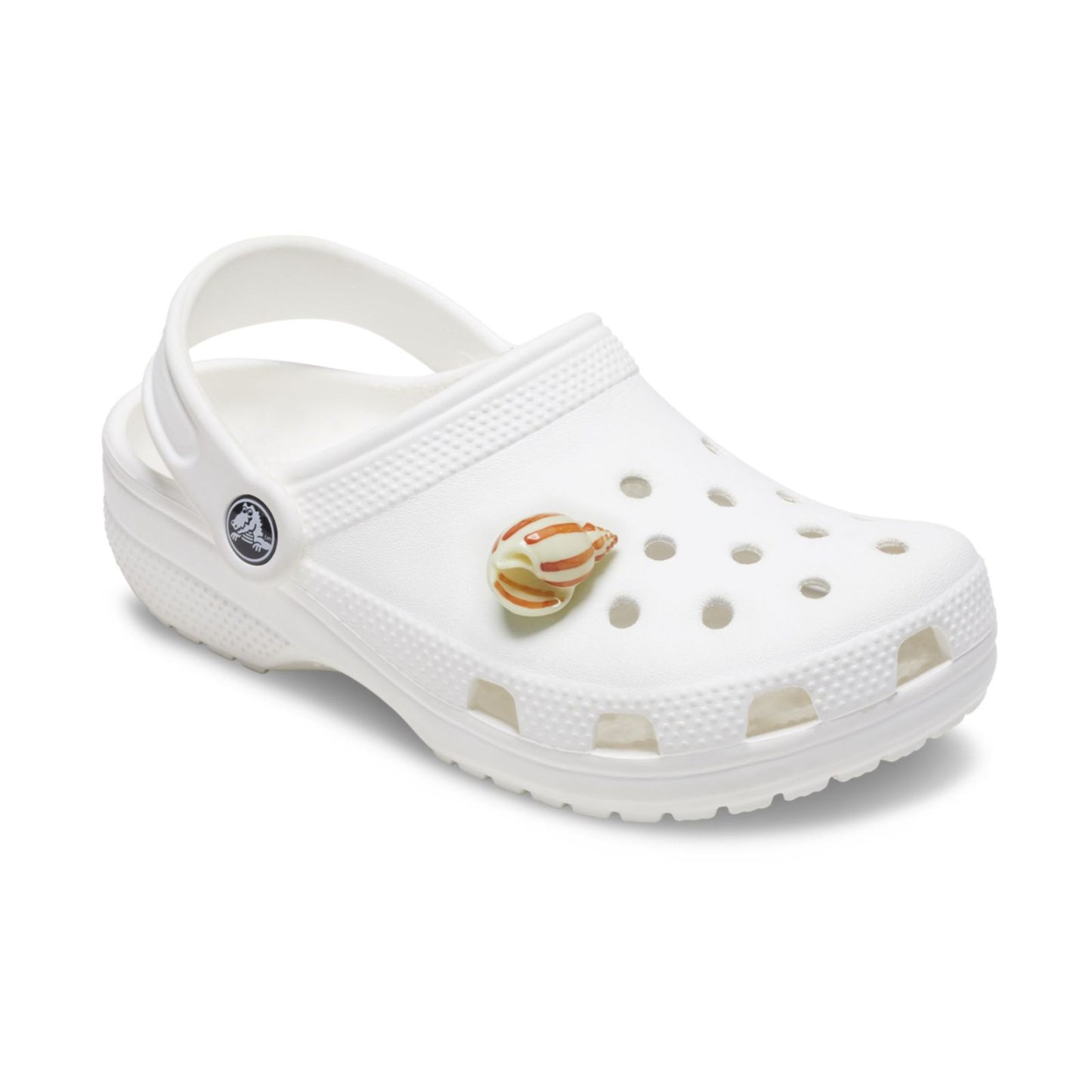 Jibbitz Natural Conch Shell Unisex Multi