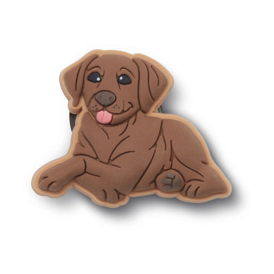 Brown Lab Puppy Unisex Multi Jibbitz