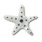 Silver Starfish Unisex Multi Jibbitz