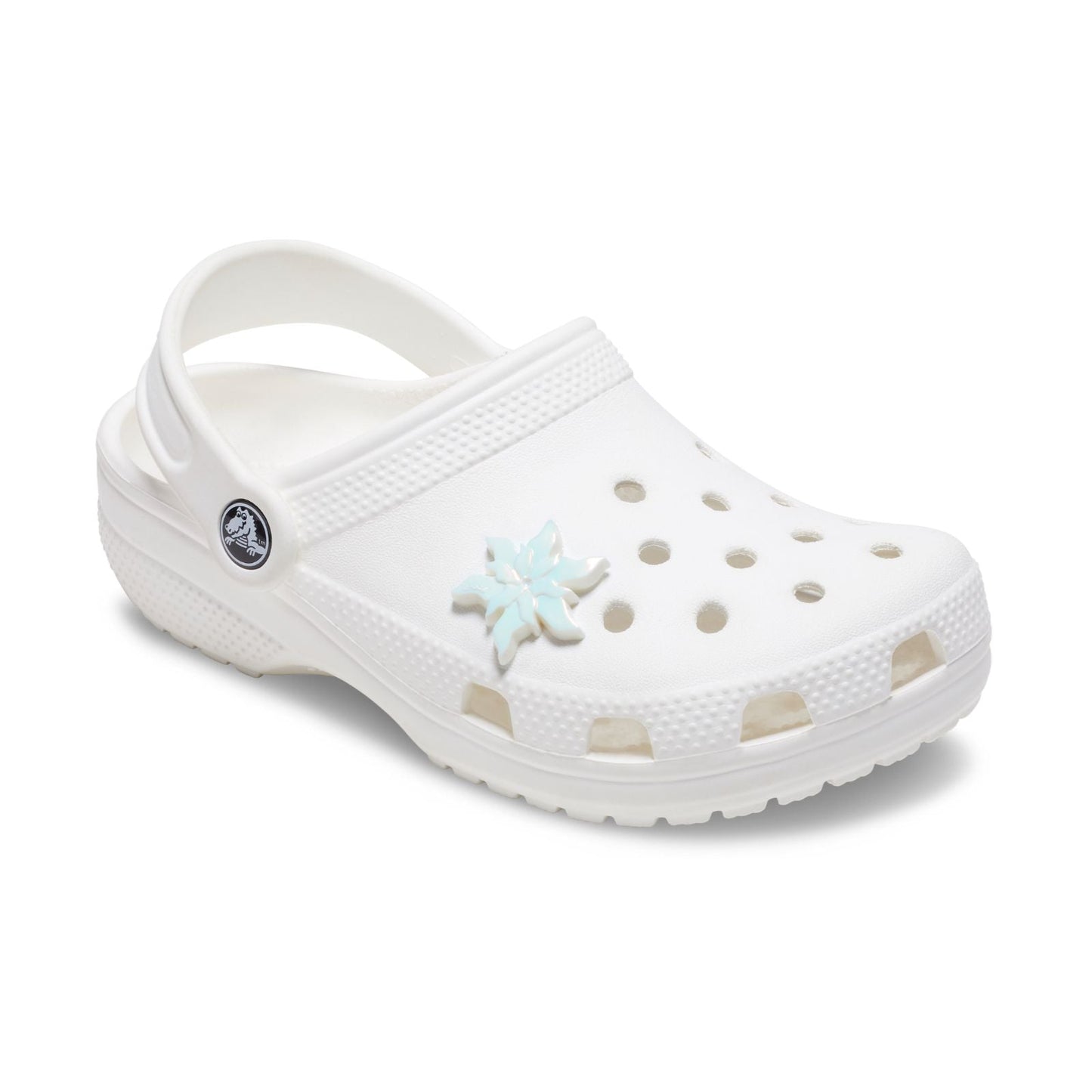 Iridescent Magical Flower Unisex Multi Jibbitz